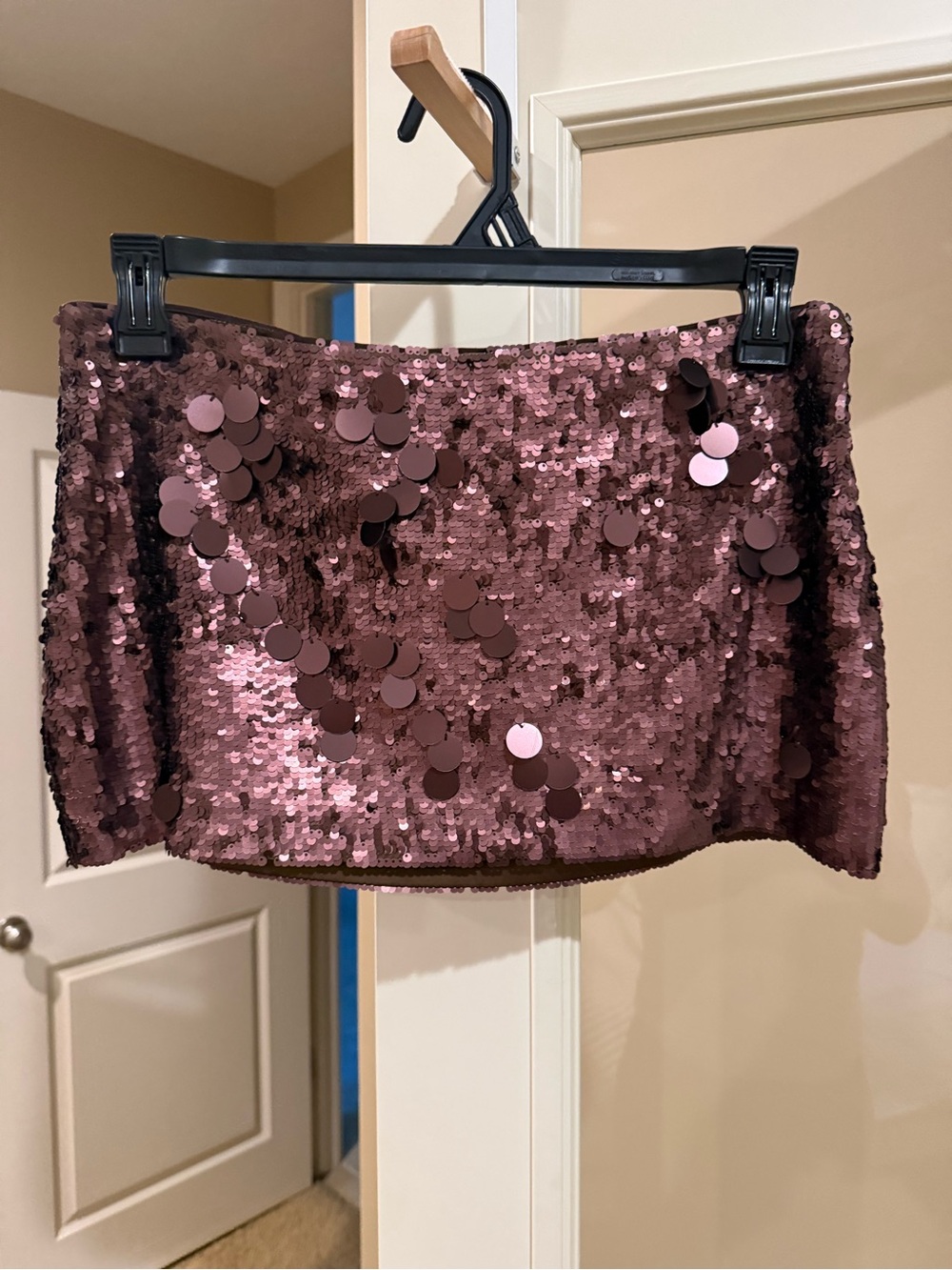 Sequin Mini Skirt in Rose-Mauve/Bronze